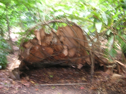 s_A_PICT0091.jpg